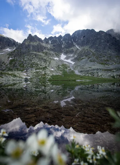 Detail Alpine Tarn Reflection Landscape Number 6
