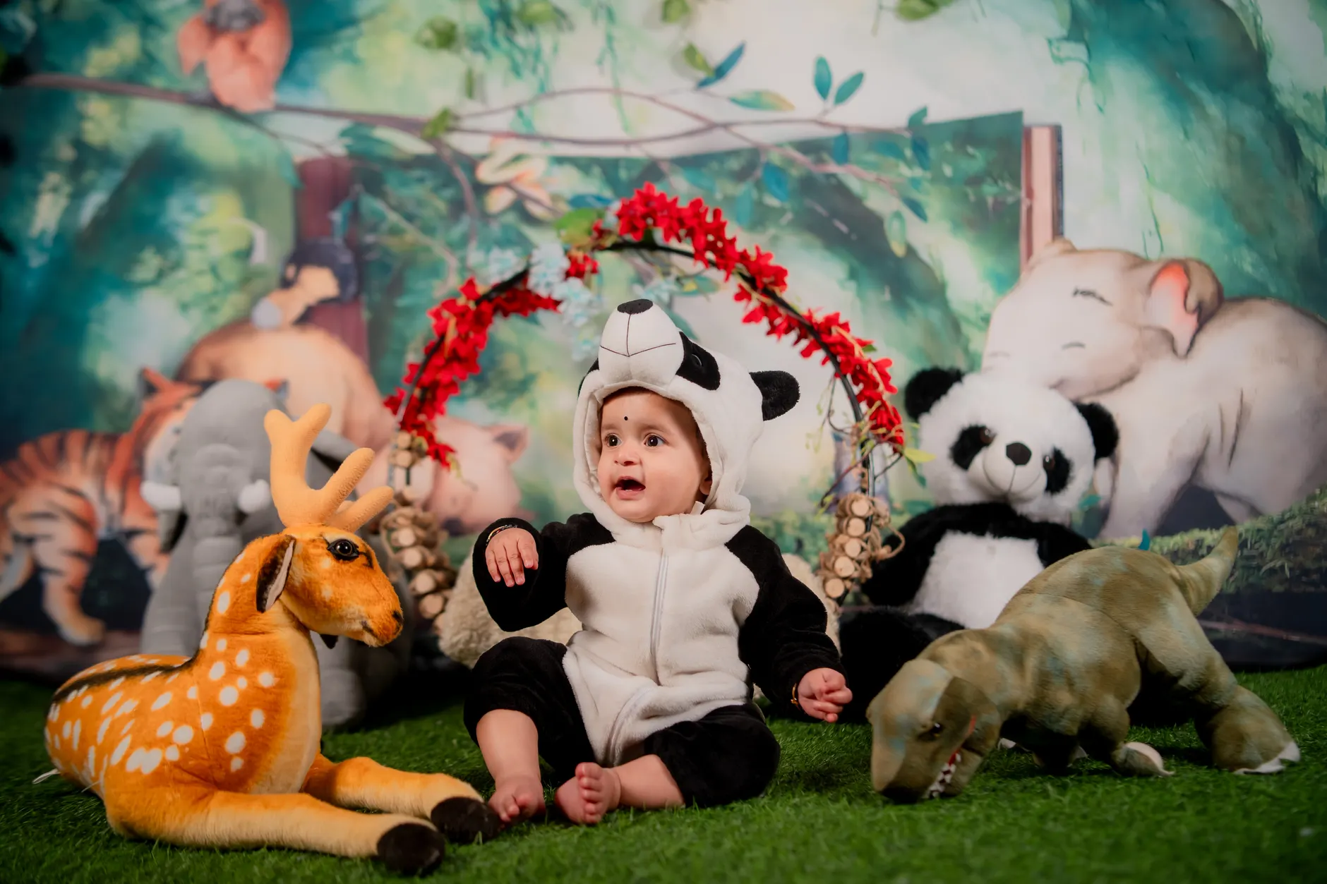 Detail Background For 6 Month Baby Photoshoot Number 8