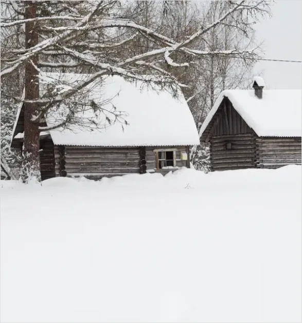 Detail Cabin In Snow Landscape Photo Number 2