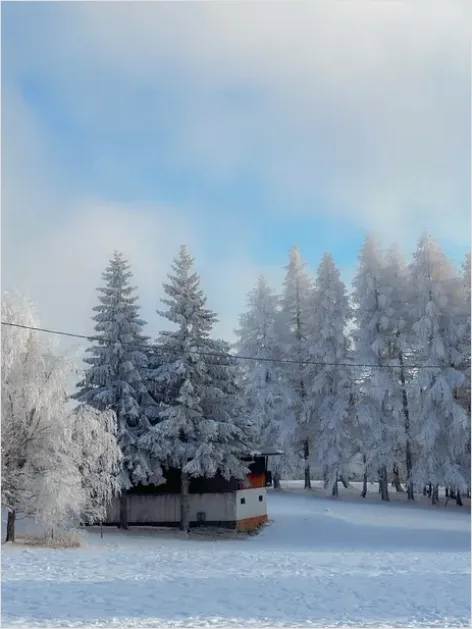 Detail Cabin In Snow Landscape Photo Number 7