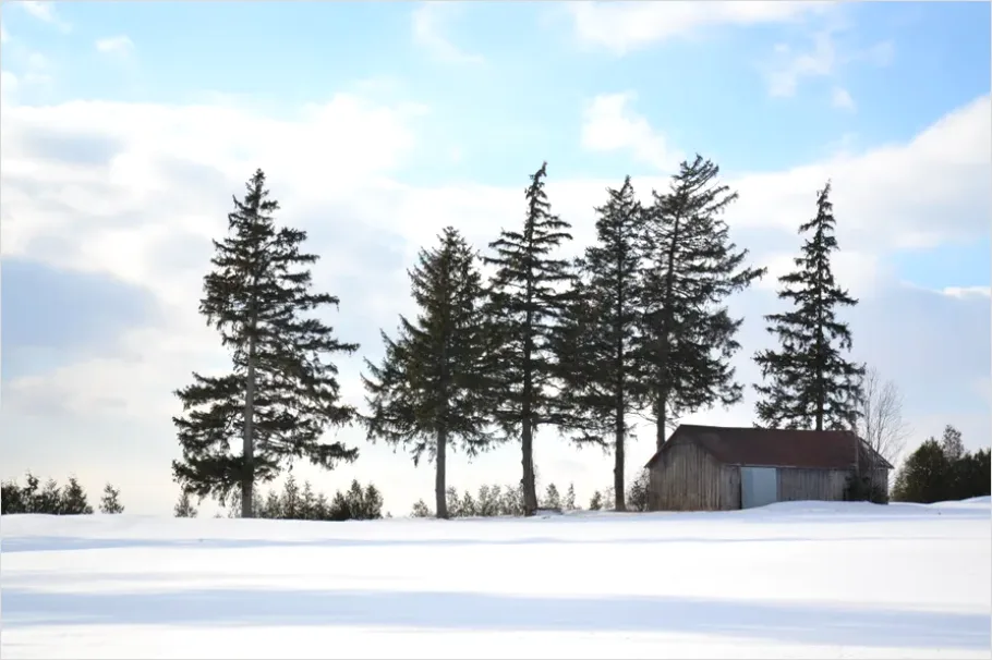 Detail Cabin In Snow Landscape Photo Number 8