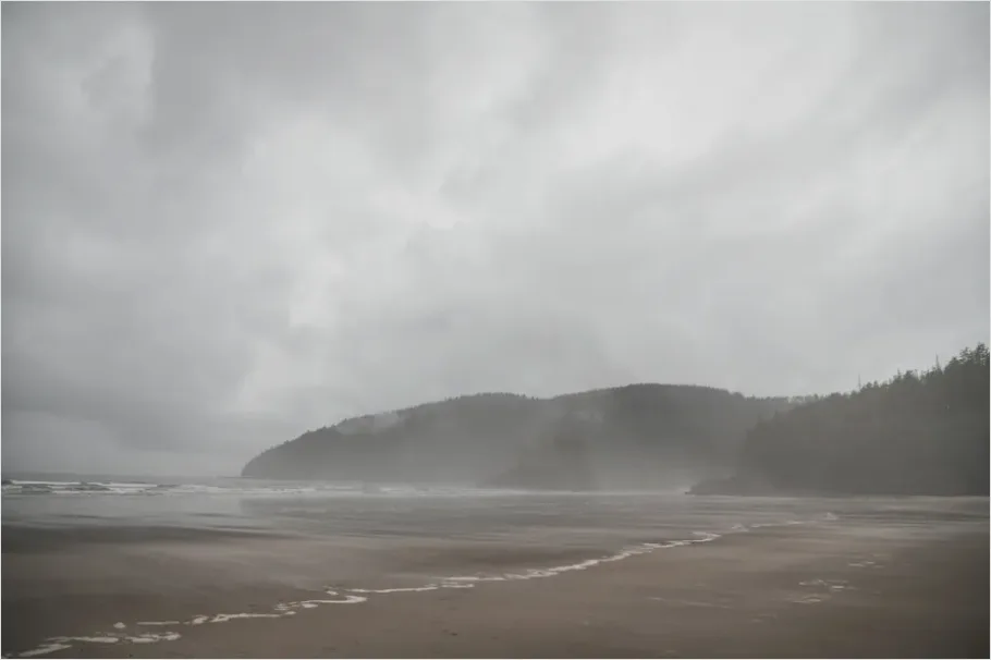 Coastal Fog Beach Landscape 016a