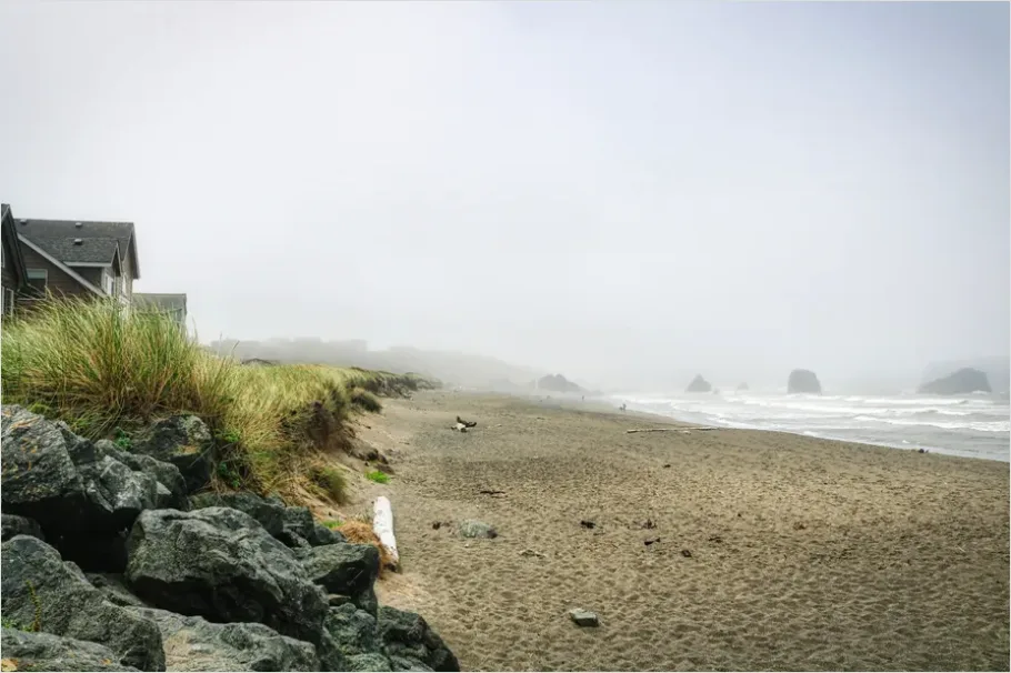 Detail Coastal Fog Beach Landscape Number 2