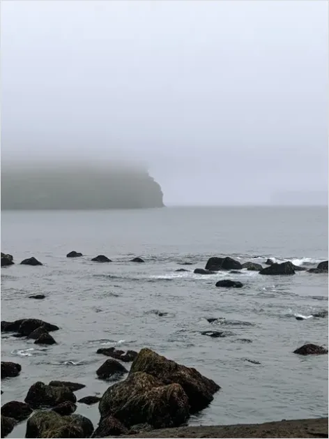 Detail Coastal Fog Beach Landscape Number 3