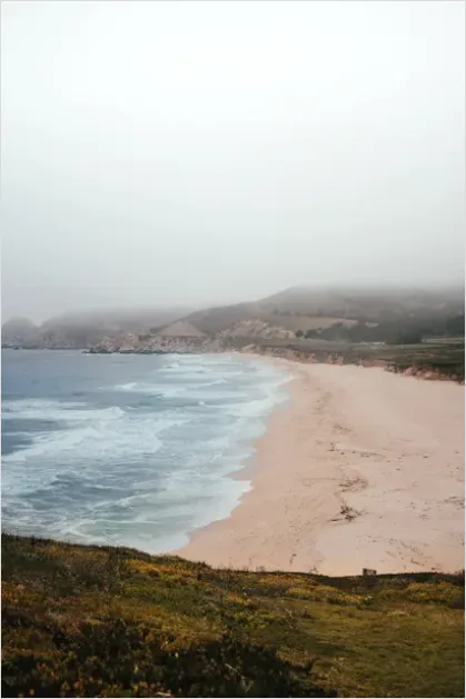Detail Coastal Fog Beach Landscape Number 4