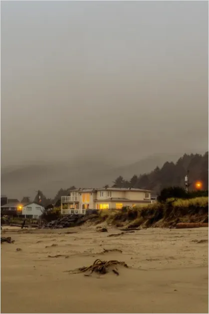 Detail Coastal Fog Beach Landscape Number 6