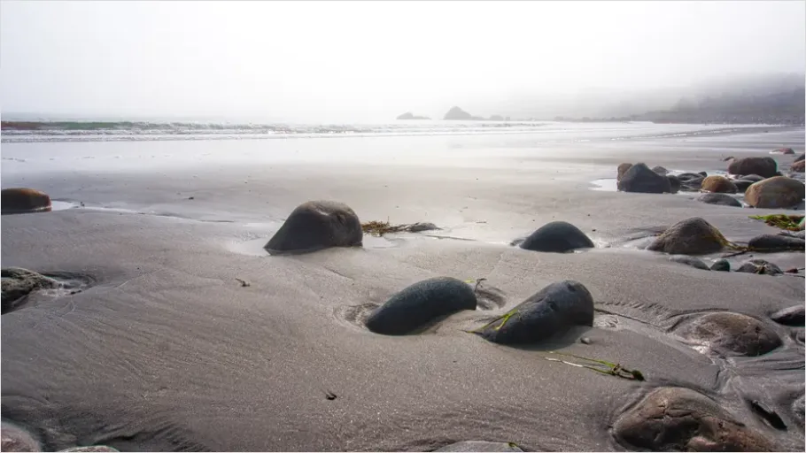Detail Coastal Fog Beach Landscape Number 7