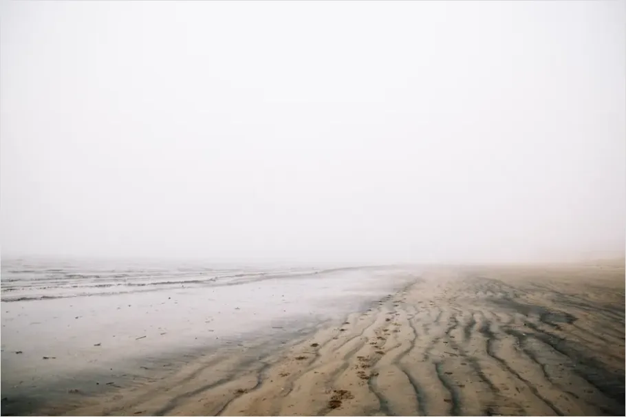 Detail Coastal Fog Beach Landscape Number 8