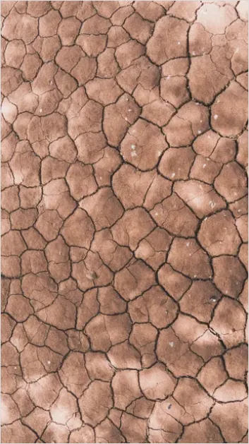 Detail Cracked Desert Floor Texture Photo Number 3
