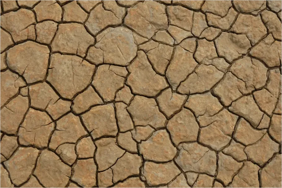 Detail Cracked Desert Floor Texture Photo Number 4