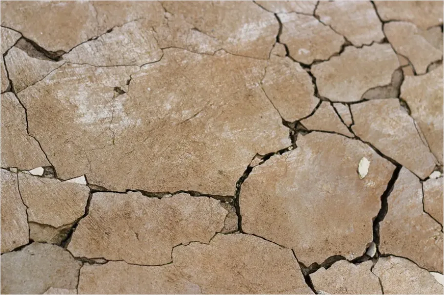 Detail Cracked Desert Floor Texture Photo Number 5