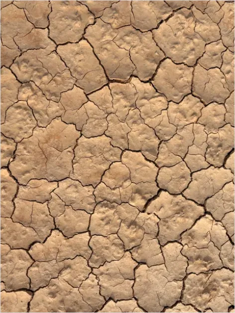 Detail Cracked Desert Floor Texture Photo Number 6