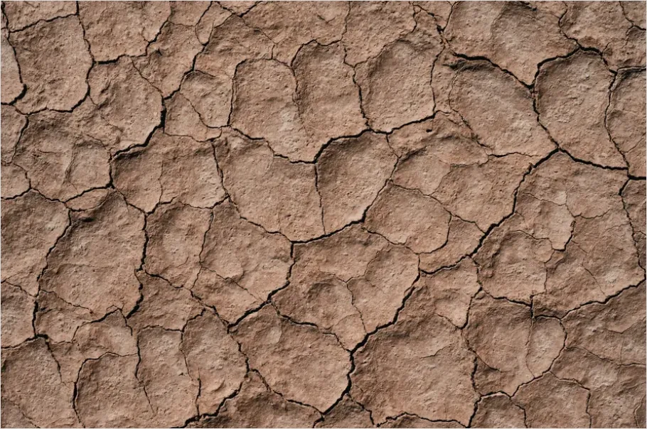 Detail Cracked Desert Floor Texture Photo Number 7