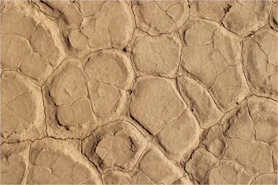 Detail Cracked Desert Floor Texture Photo Number 8