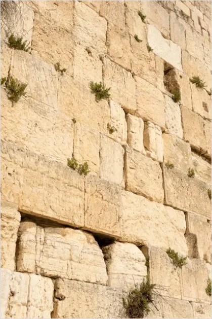 Detail Holy Site Stone Walls Texture Photo Number 5
