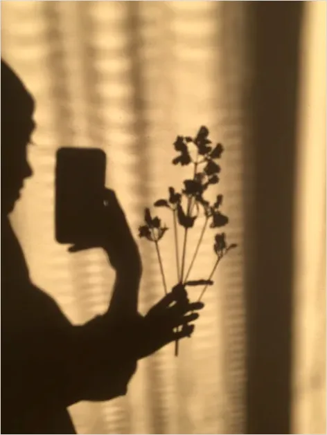 Detail Illustration Silhouette Flower Vector Number 5