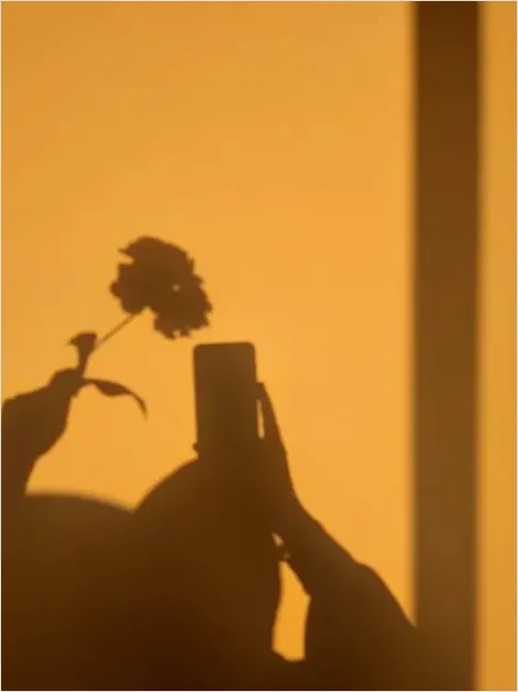 Detail Illustration Silhouette Flower Vector Number 6