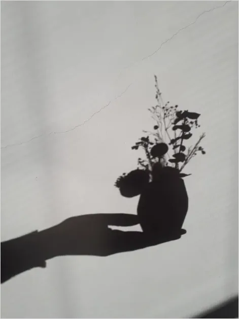 Detail Illustration Silhouette Flower Vector Number 7