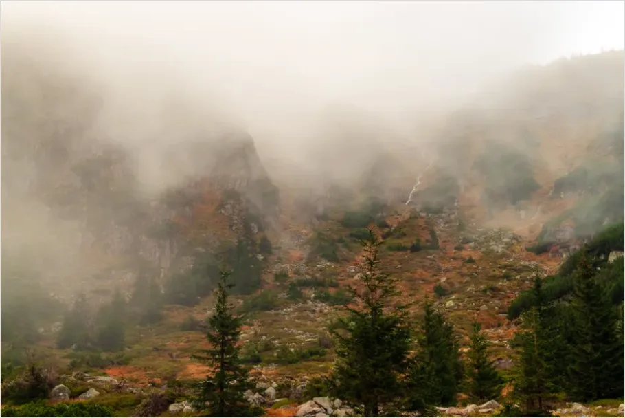 Detail Misty Mountain Valley Landscape Number 2
