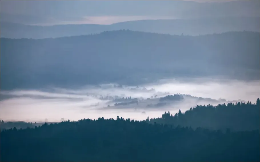 Detail Misty Mountain Valley Landscape Number 6