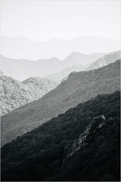 Detail Misty Mountain Valley Landscape Number 8