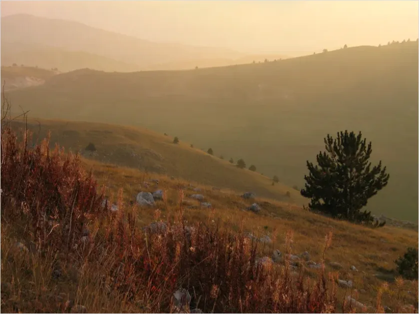 Detail Mountain Landscape Sunrise Photo Number 5
