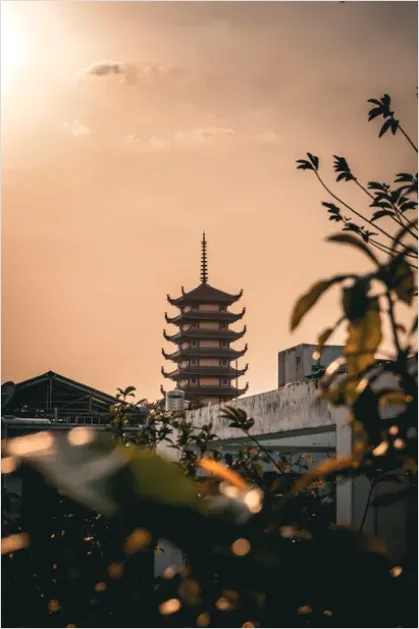 Detail Pagoda Silhouette Sunset Photo Number 9