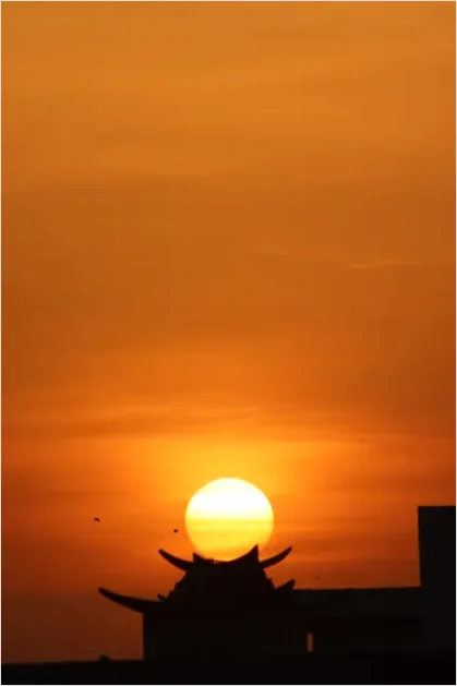 Detail Pagoda Silhouette Sunset Photo Number 10