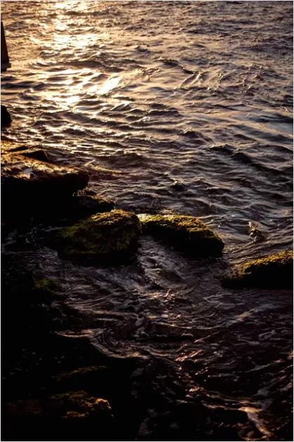 Rocky Coastline Golden Hour Photo 1b38