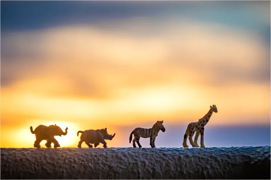 Detail Safari Animals Silhouette Sunrise Number 3