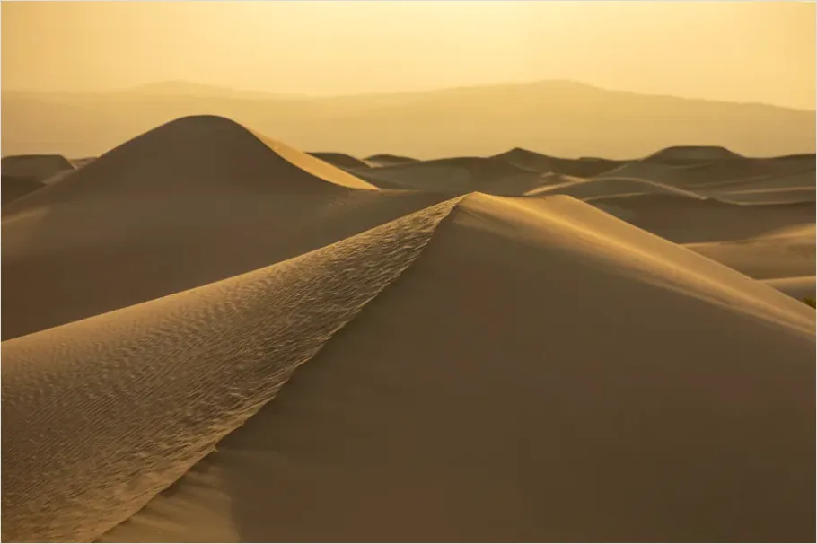 Detail Sand Dunes Sunset Landscape Number 2