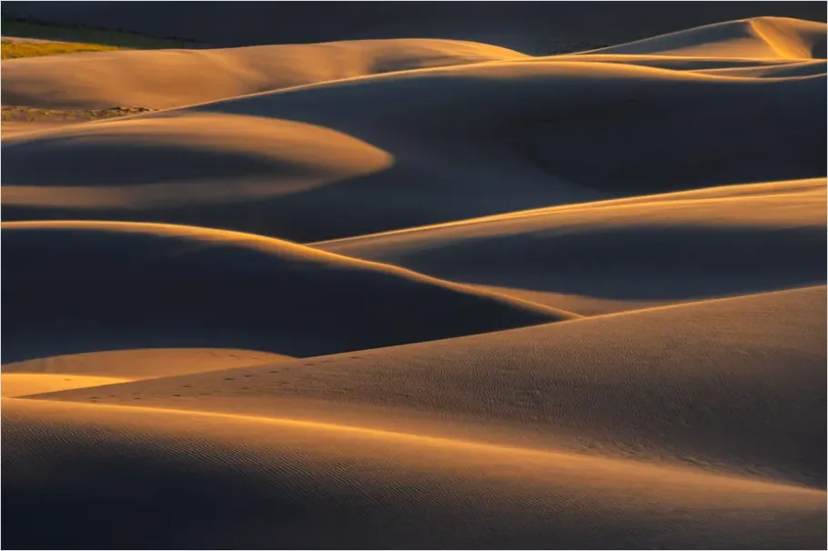 Detail Sand Dunes Sunset Landscape Number 4