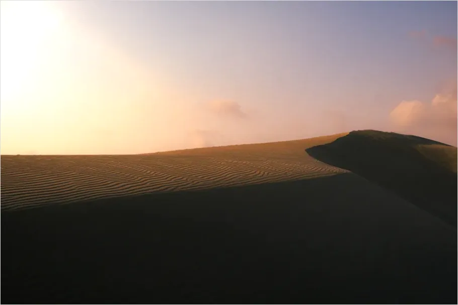 Detail Sand Dunes Sunset Landscape Number 5