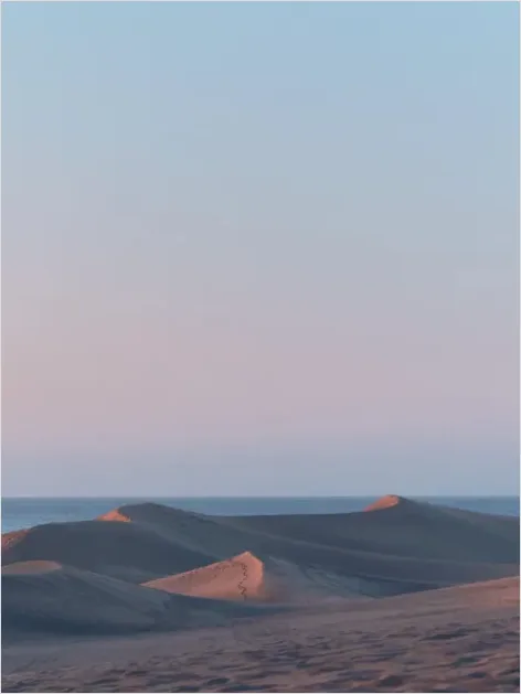 Detail Sand Dunes Sunset Landscape Number 7