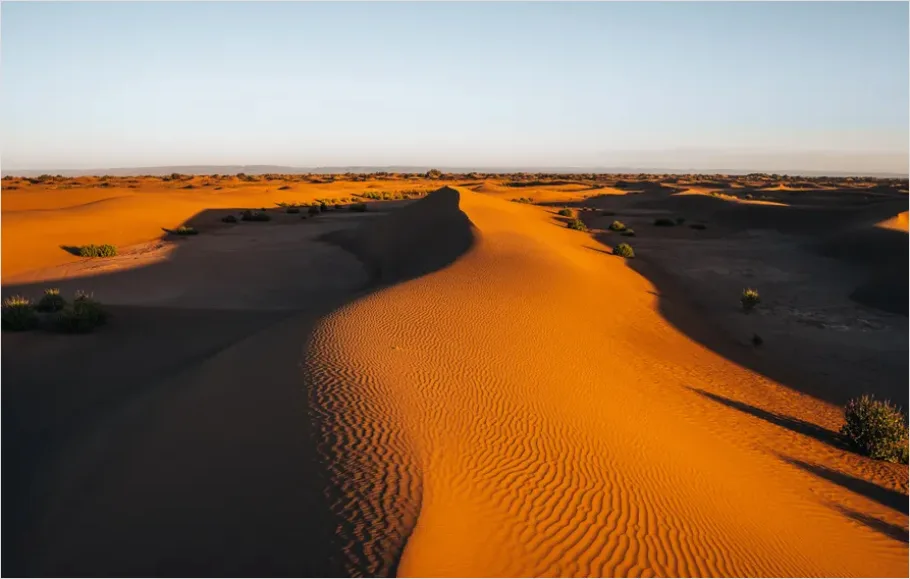 Detail Sand Dunes Sunset Landscape Number 8