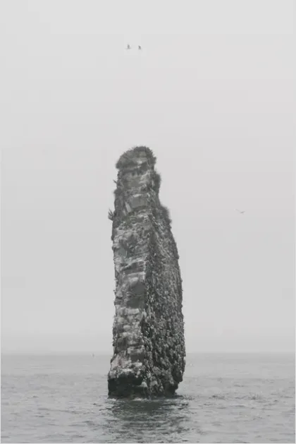 Detail Sea Stack Coastline Mist Photo Number 4