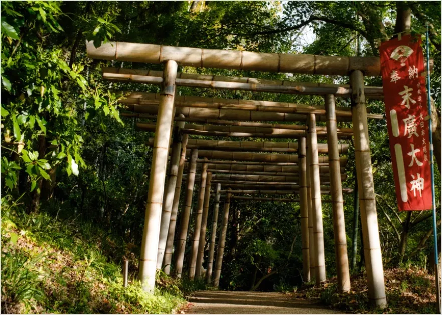 Detail Shrine Gate Torii In Forest Path Number 4