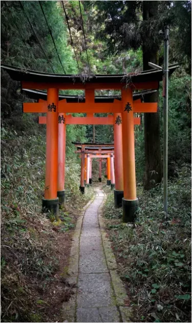 Detail Shrine Gate Torii In Forest Path Number 5