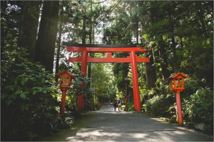 Detail Shrine Gate Torii In Forest Path Number 8