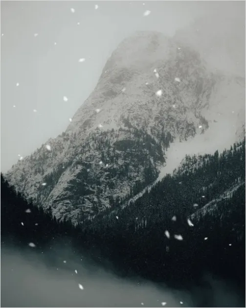 Detail Snowstorm Landscape Dramatic Number 2