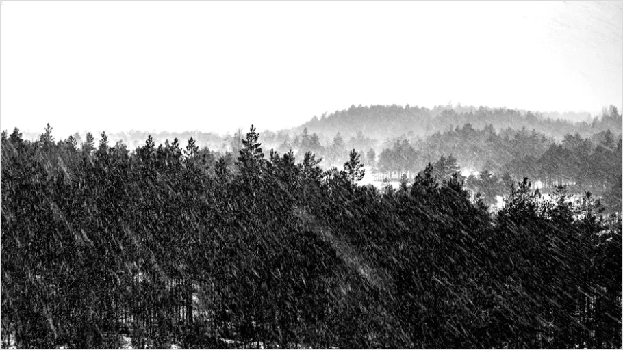 Detail Snowstorm Landscape Dramatic Number 3