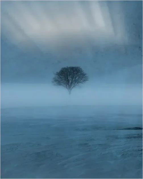 Detail Snowstorm Landscape Dramatic Number 5