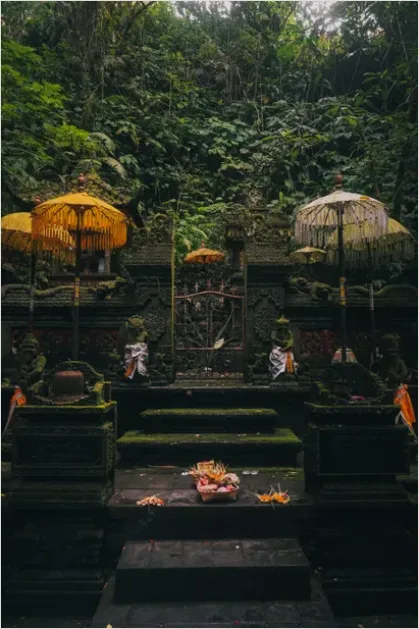 Detail Temple Steps With Offerings Photo Number 2