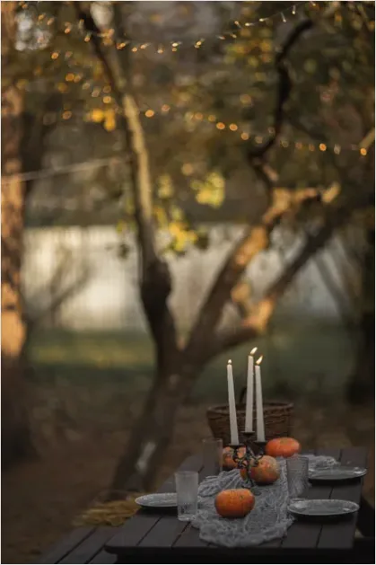 Detail Thanksgiving Harvest Table Autumn Photo Number 5