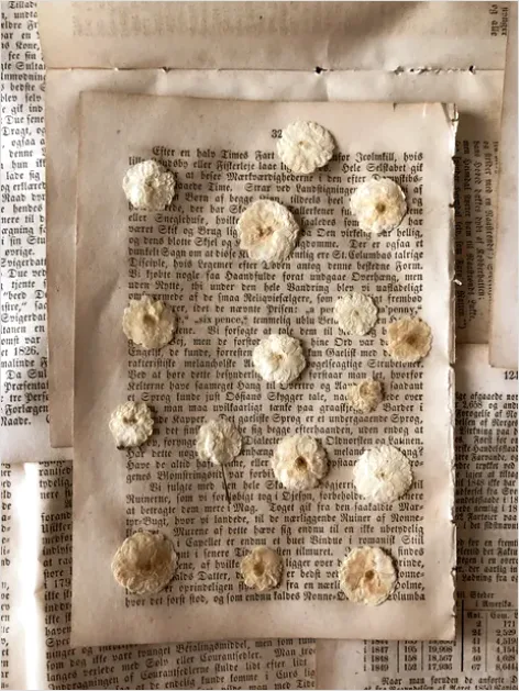 Detail Vintage Paper Decoration Number 8