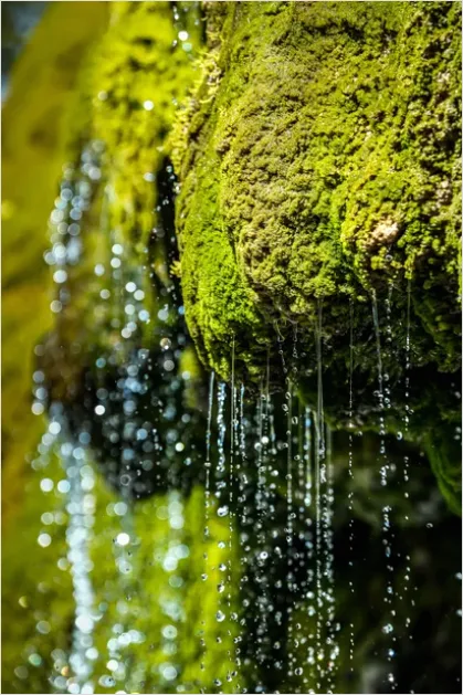 Waterfall Mossy Rocks Close Up 8e4c