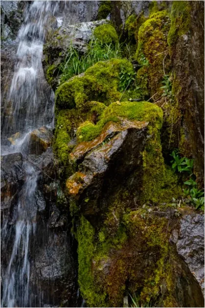 Detail Waterfall Mossy Rocks Close Up Number 3