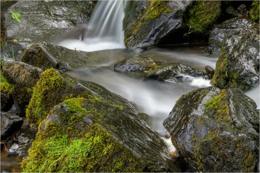 Detail Waterfall Mossy Rocks Close Up Number 5