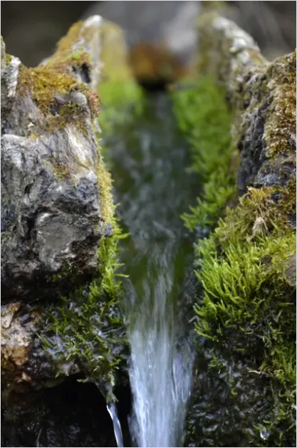 Detail Waterfall Mossy Rocks Close Up Number 6