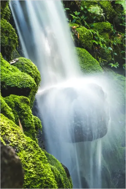 Detail Waterfall Mossy Rocks Close Up Number 7